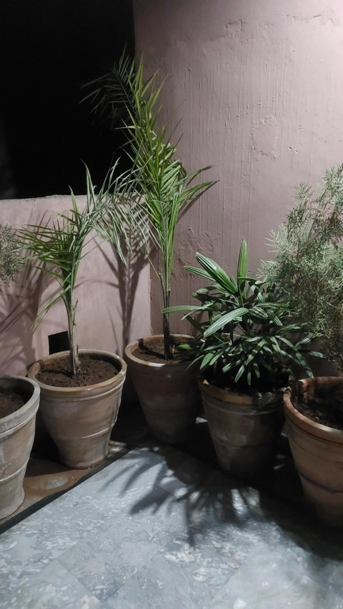 Shally Valley Guest House Rawalpindi Esterno foto
